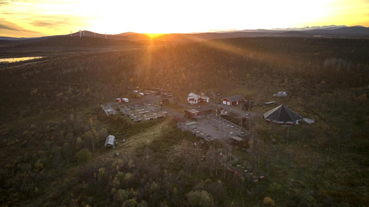 Husky Lodge Hostel Kiruna Bagian luar foto