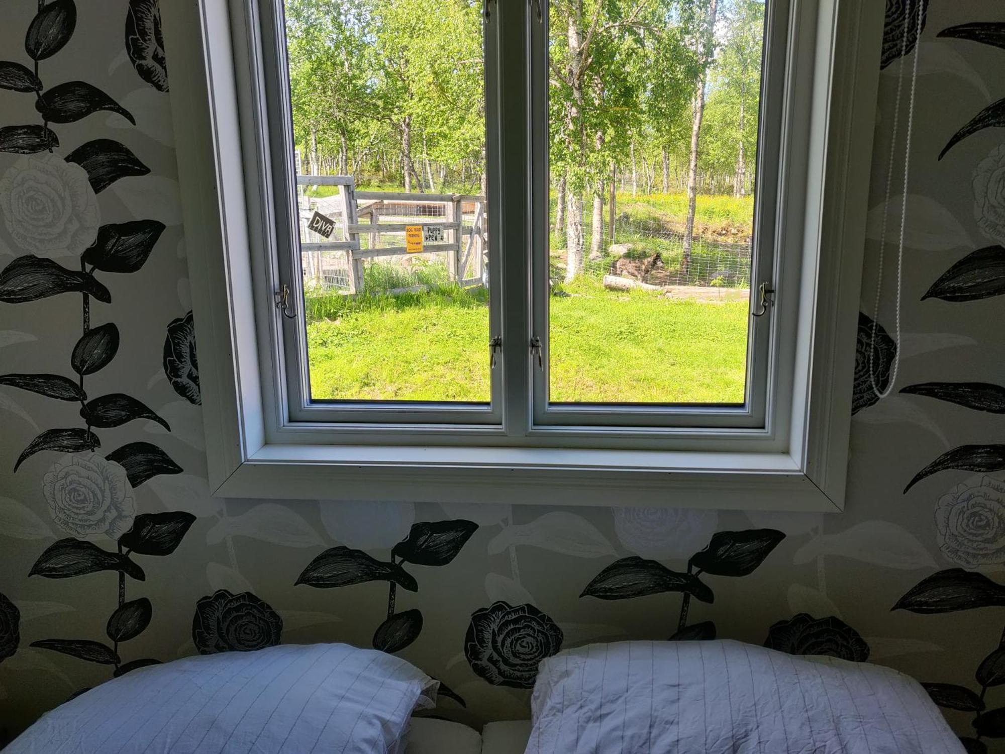 Husky Lodge Hostel Kiruna Ruang foto