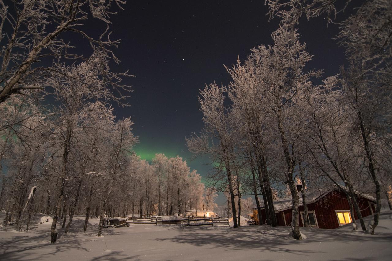 Husky Lodge Hostel Kiruna Bagian luar foto