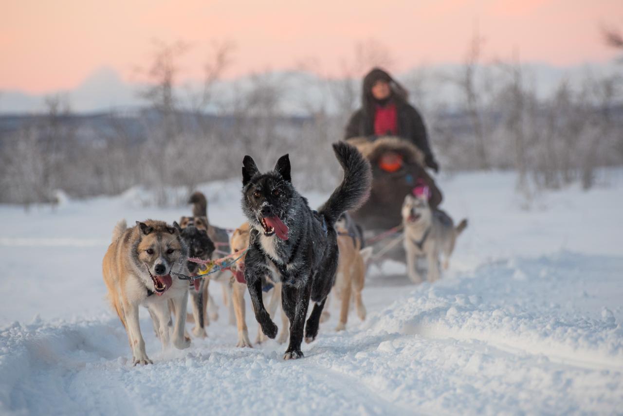 Husky Lodge Hostel Kiruna Bagian luar foto