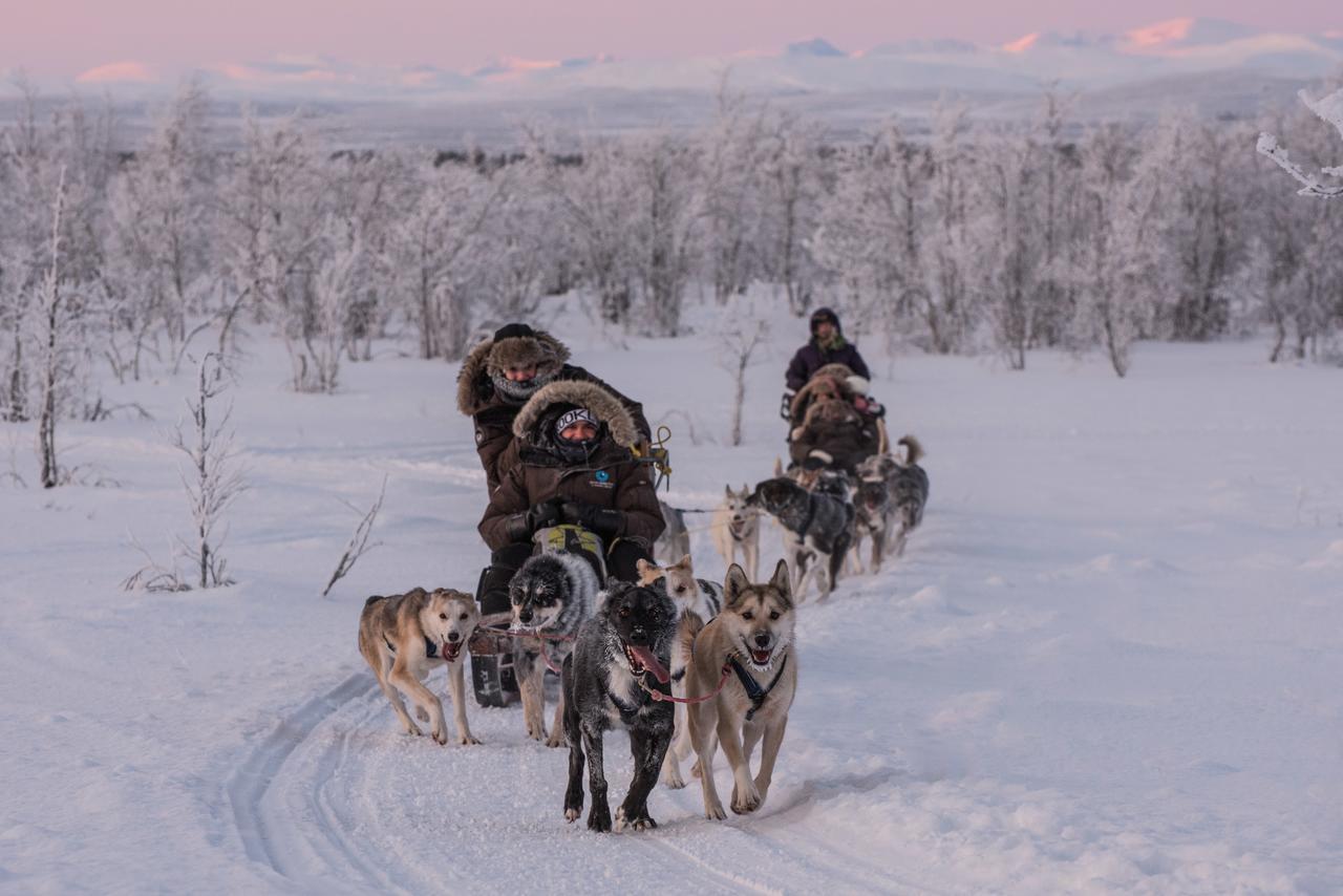 Husky Lodge Hostel Kiruna Bagian luar foto
