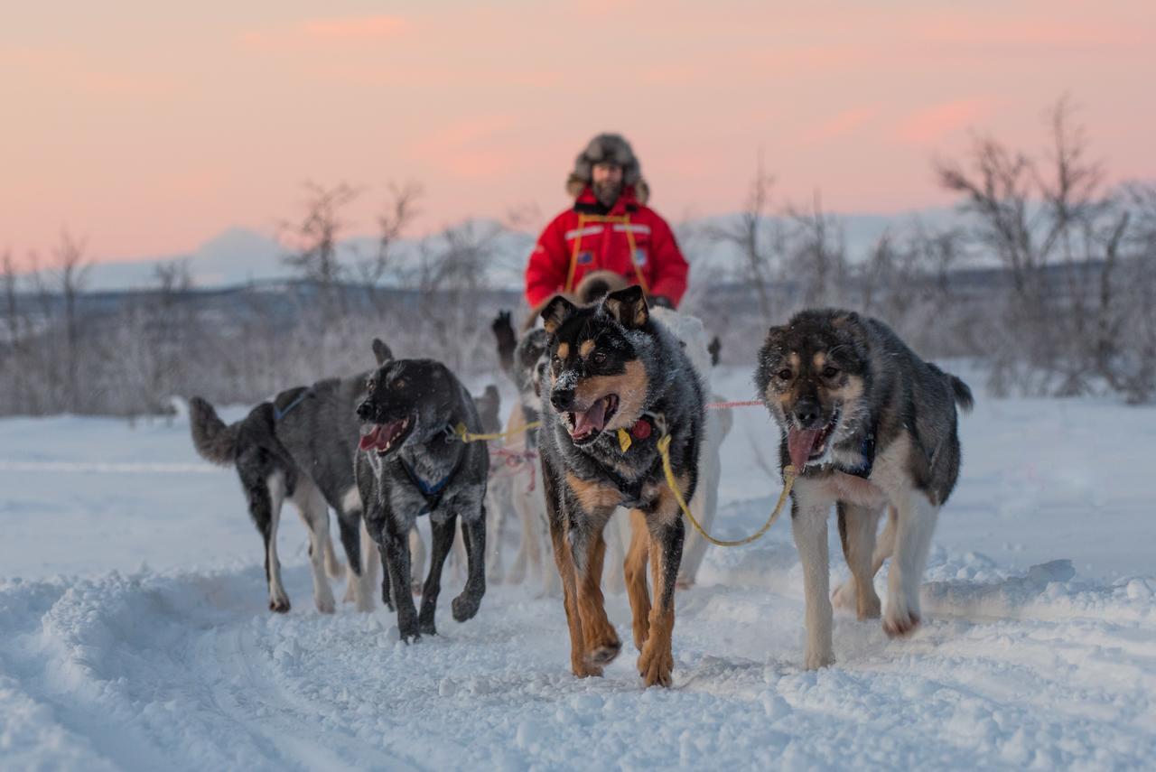 Husky Lodge Hostel Kiruna Bagian luar foto